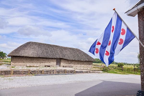 Re-anactment Monetari Dorestatii